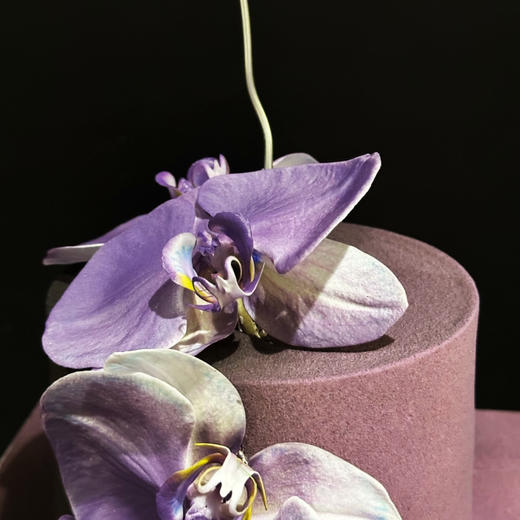 紫定发财（喷砂提前1天预定；排单下午3点以后）颜色较深谨慎选择 商品图1