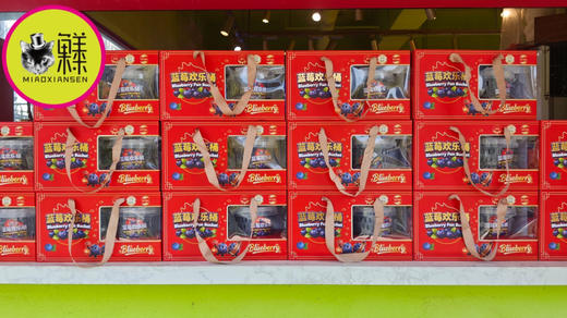 【祝福版】喵眼蓝莓欢乐桶450克×2桶 商品图0