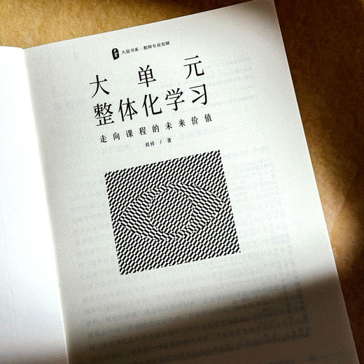 大单元整体化学习 走向课程的未来价值 大夏书系 教师专业发展 刘祥 商品图6