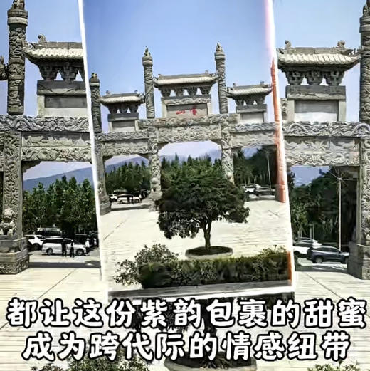 【高端木盒稀世珍品土蜂蜜系列/沂蒙山百巢福蜜土蜂蜜】是太行山土蜂蜜经驯化，在深山老林采集百花之蜜经春夏秋冬四季，沉淀而成，走亲访友自用很好 商品图9