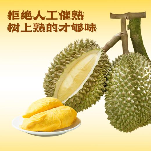 【甜度升级 整袋果肉】泰国自然树熟 金枕榴莲果肉 整袋冷冻包装 800g/袋 商品图2