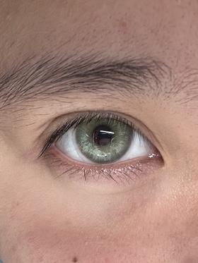 tomdoll半年抛美瞳 蕨影棕绿 14.2mm