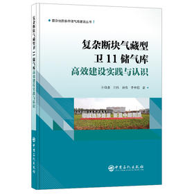 【官方旗舰店】复杂断块气藏型卫11储气库高效建设实践与认识