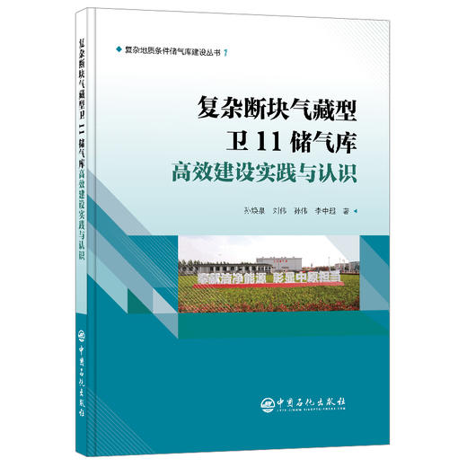 【官方旗舰店】复杂断块气藏型卫11储气库高效建设实践与认识 商品图0