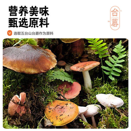 五台山台蘑酱150g*3罐装原味蘑菇酱拌饭酱下饭酱拌面酱 山西特产 商品图3