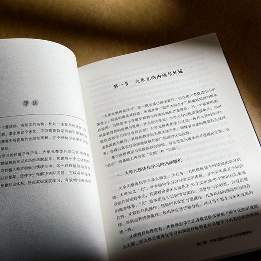 大单元整体化学习 走向课程的未来价值 大夏书系 教师专业发展 刘祥 商品图11
