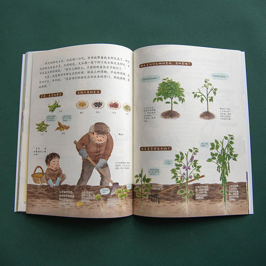 小农夫日记全4册儿童自然科普绘本田园生活启蒙读物 商品图3