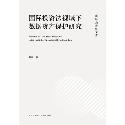 国际投资法视域下数据资产保护研究 张渝著 法律出版社 商品图1