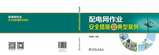 配电网作业安全措施及典型案例 商品图2