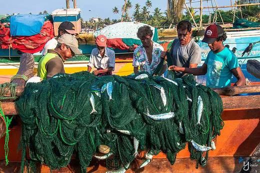 “一价全含”斯里兰卡“佛牙节”8天摄影团 商品图12