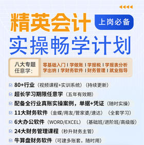 精英会计实操畅学班