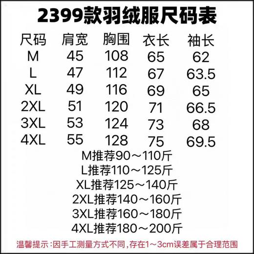 F020207冬季轻薄系列户外立领羽绒服情侣款 商品图8