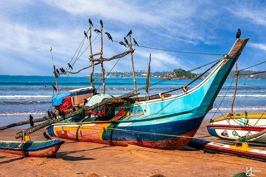 “一价全含”斯里兰卡“佛牙节”8天摄影团 商品图13