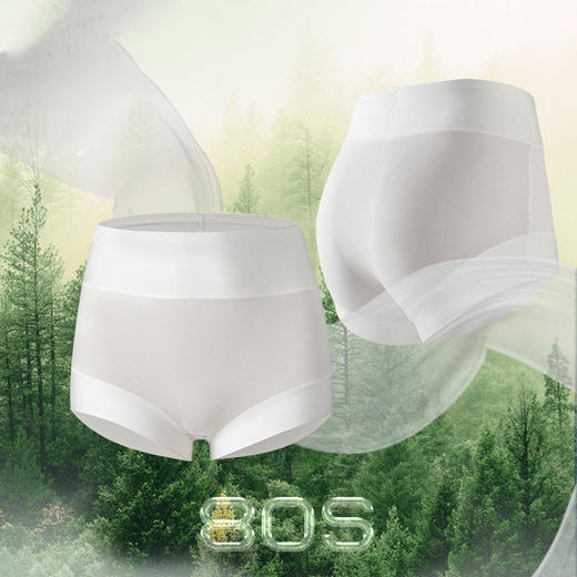 雀说【两组装】80支莫代尔高腰内裤女生收腹高品质桑蚕丝裆大码内裤ALW6568 商品图1