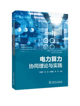 电力算力协同理论与实践