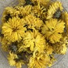 无硫 怀菊花 商品缩略图0