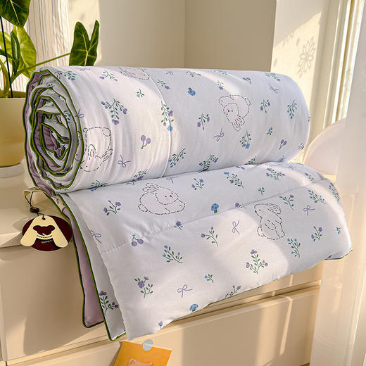 【品牌直发】加倍生活  A类水洗皱皱纱7A抑菌夏被夏凉被空调被-小熊院长系列yc0311003 商品图3