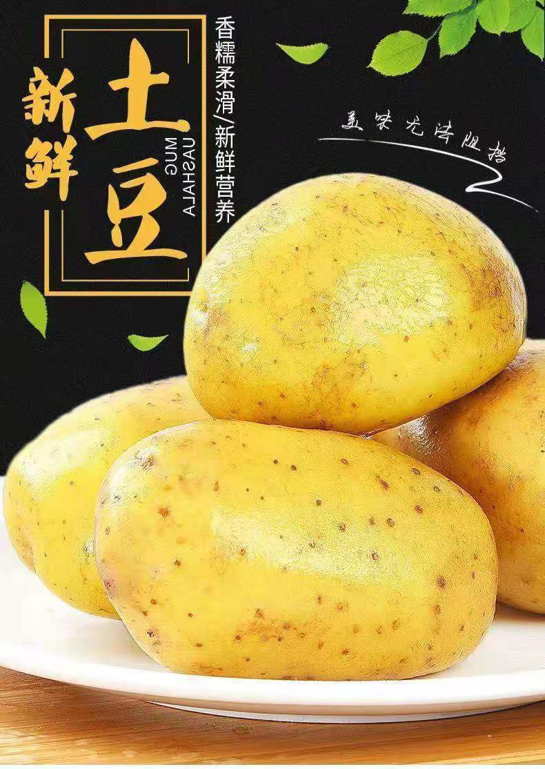 gWyWj/+nzNTvS8WG2Vtcg/El1iPNMWfMWiCw