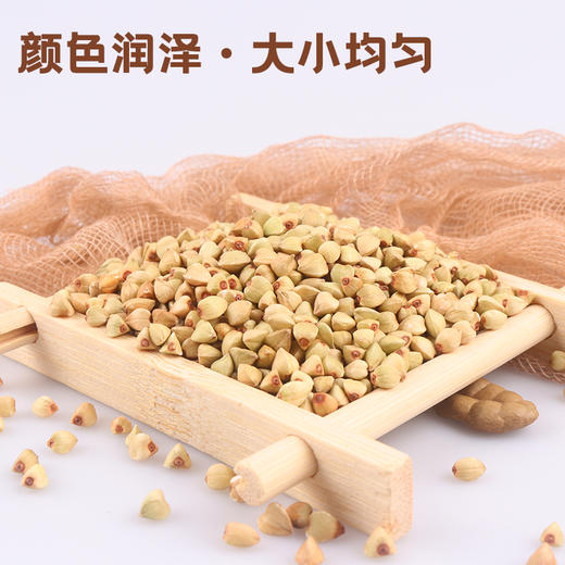 内蒙库伦 三十六雨 精致荞麦米1500g（250克*6小盒） 商品图4