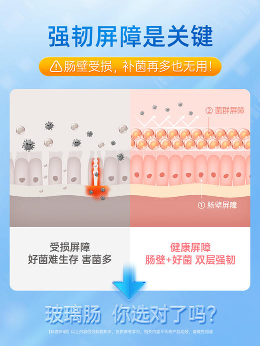 【爱康医选专属】舒伯特肠博士氨基酸益生菌谷氨酰胺调理 28条/盒 商品图1
