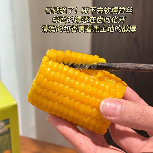 北方粮田 鲜食黄糯玉米段 18根 非转基因玉米，商超同款，品质放心；进口HG耐高温抗紫外线蒸煮袋，3小时真空锁鲜；粒粒饱满 ，软糯香甜，老少皆宜 商品图6