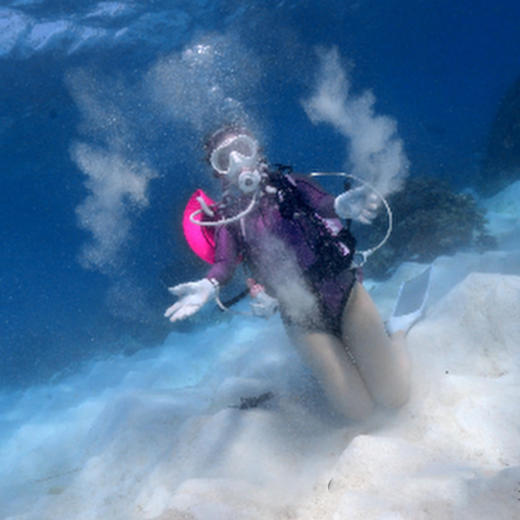 琥珀假期潜水课程+日游 商品图2