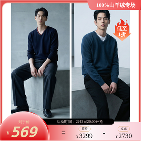 PALUOPO/PLV领男衫ET23936R-A/约重259g帕罗