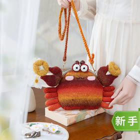 苏苏姐家有钳人口金包diy手工钩针编织斜挎包毛线团材料包