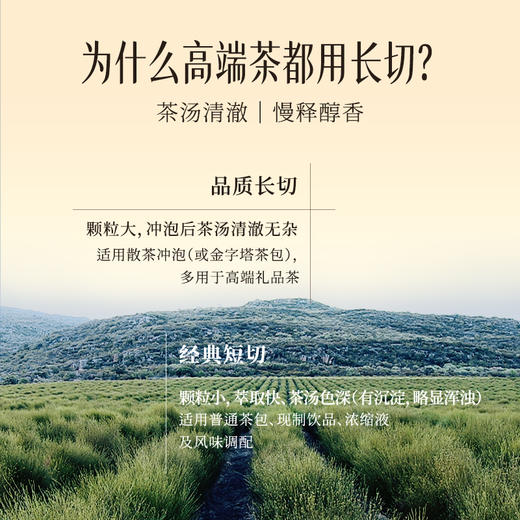开普山谷南非路易波士茶散茶无咖啡因博士茶长切茶叶200g 商品图4