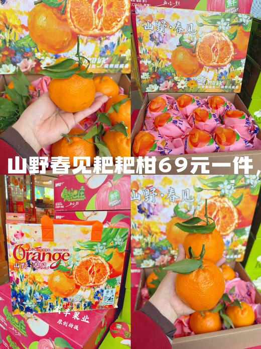 新年大橘大利 柑橘类水果集合 各种礼盒 高档漂亮 商品图1