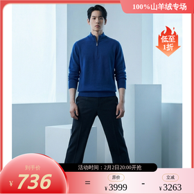 PALUOPO/PL半高领拉链男衫/ET22322R-A/约重285g帕罗