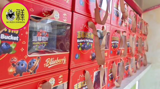 【祝福版】喵眼蓝莓欢乐桶450克×2桶 商品图5