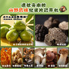 虎邦 云南黑松露七彩菌菇酱 商品缩略图2