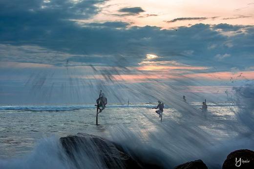 “一价全含”斯里兰卡“佛牙节”8天摄影团 商品图11