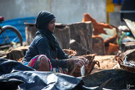 “一价全含”斯里兰卡“佛牙节”8天摄影团 商品图9