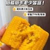 北方粮田 鲜食黄糯玉米段 18根 非转基因玉米，商超同款，品质放心；进口HG耐高温抗紫外线蒸煮袋，3小时真空锁鲜；粒粒饱满 ，软糯香甜，老少皆宜 商品缩略图12