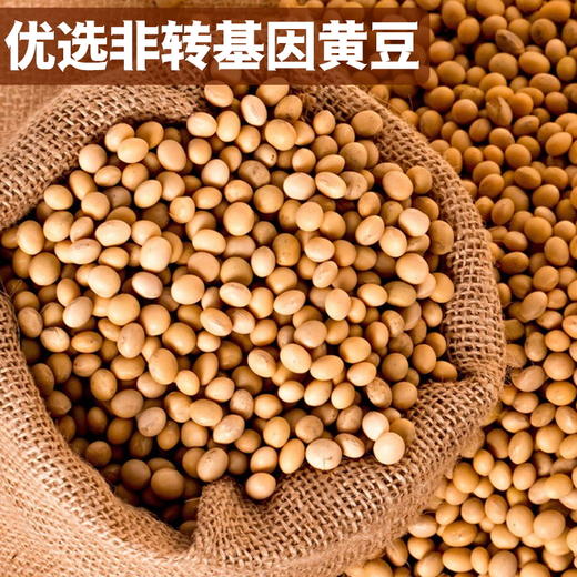 广东 全兴隆 客家水泉腐竹 商品图3