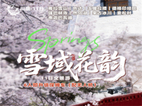 【大美川藏11日】林芝桃花+金川梨花+色达+玉隆拉措+德格印经院+强巴林寺+然乌湖+来古冰川11日全景游