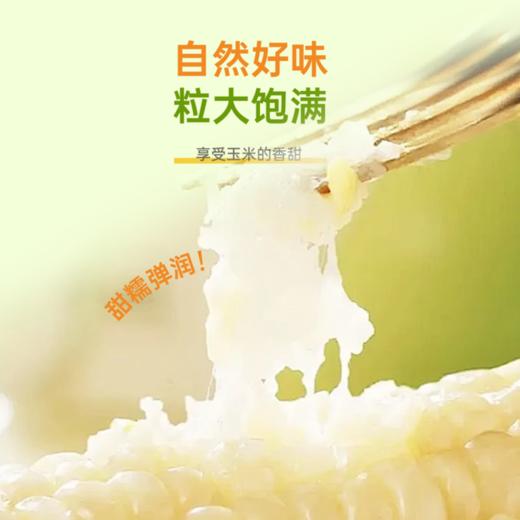 吾谷怡人低GI甜糯玉米220g*8 商品图2