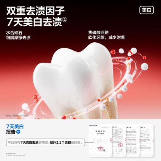 参半倍养护牙膏100g-8454 添加藏红花 减轻牙龈问题 抑制牙菌斑 7天美白去渍 商品图3