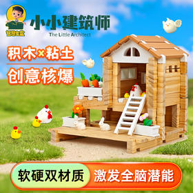 【硬积木+软粘土 玩出超能力幸福版】智慧宝盒小小建筑师粘土版E77 拼8个场景+20款小木屋造型 儿童榫卯益智积木 12色超轻粘土 创意拼装玩具