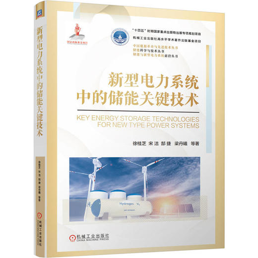 新型电力系统中的储能关键技术 商品图0