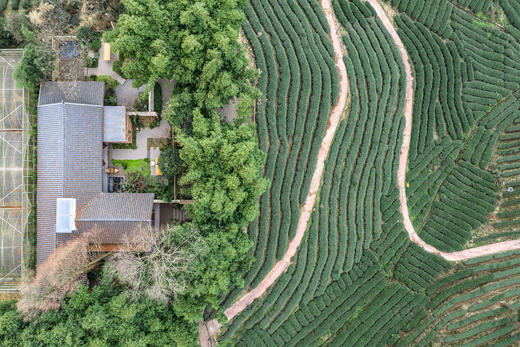 【觅趣618号院·雅安】单房包栋，独院私汤房，1房1院1私汤，温泉私汤、情侣入住ayms 商品图2