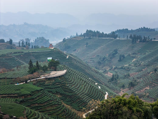 【觅趣618号院·雅安】单房包栋，独院私汤房，1房1院1私汤，温泉私汤、情侣入住ayms 商品图10