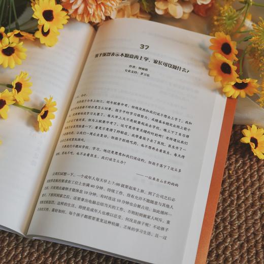 万千心理·太阳照常升起：抑郁休学青少年的生命复元60问 商品图10