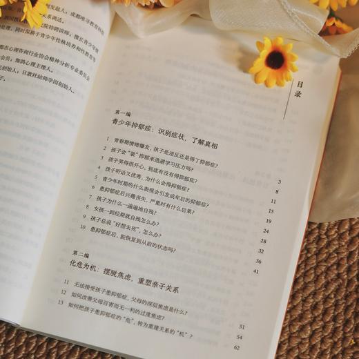 万千心理·太阳照常升起：抑郁休学青少年的生命复元60问 商品图7