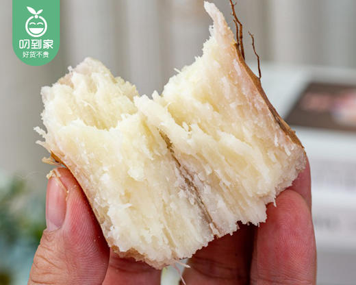 温县垆土铁棍山药（42-48cm）/1箱（2kg±100g） 商品图1