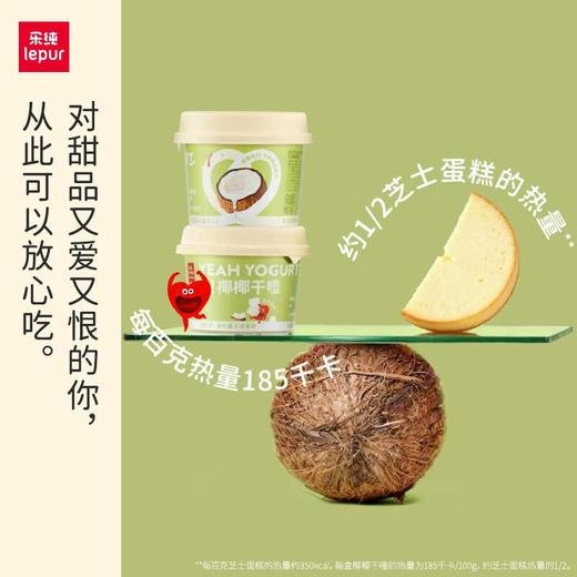 乐纯椰椰干噎酸奶100g 商品图1