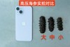 极客海参品鉴装（即食鲜参/干海参）丨鲜食高压海参，肉厚劲道自带鲜味丨独立包装，开袋即食，详情页里有我们对海参的认知，请一定阅读完。⭐️顺丰快递 商品缩略图10