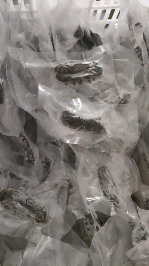 【海参捕捞季立减‼️ +赠送‼️ 】极客即食鲜海参/干海参丨实物，鲜食海参，肉厚劲道自带鲜味丨独立包装，开袋即食⭐️顺丰空运 商品图9